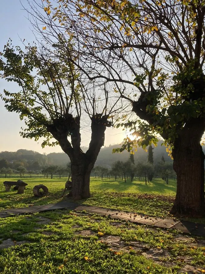 Agriturismo San Michele Vicenza Farm stay