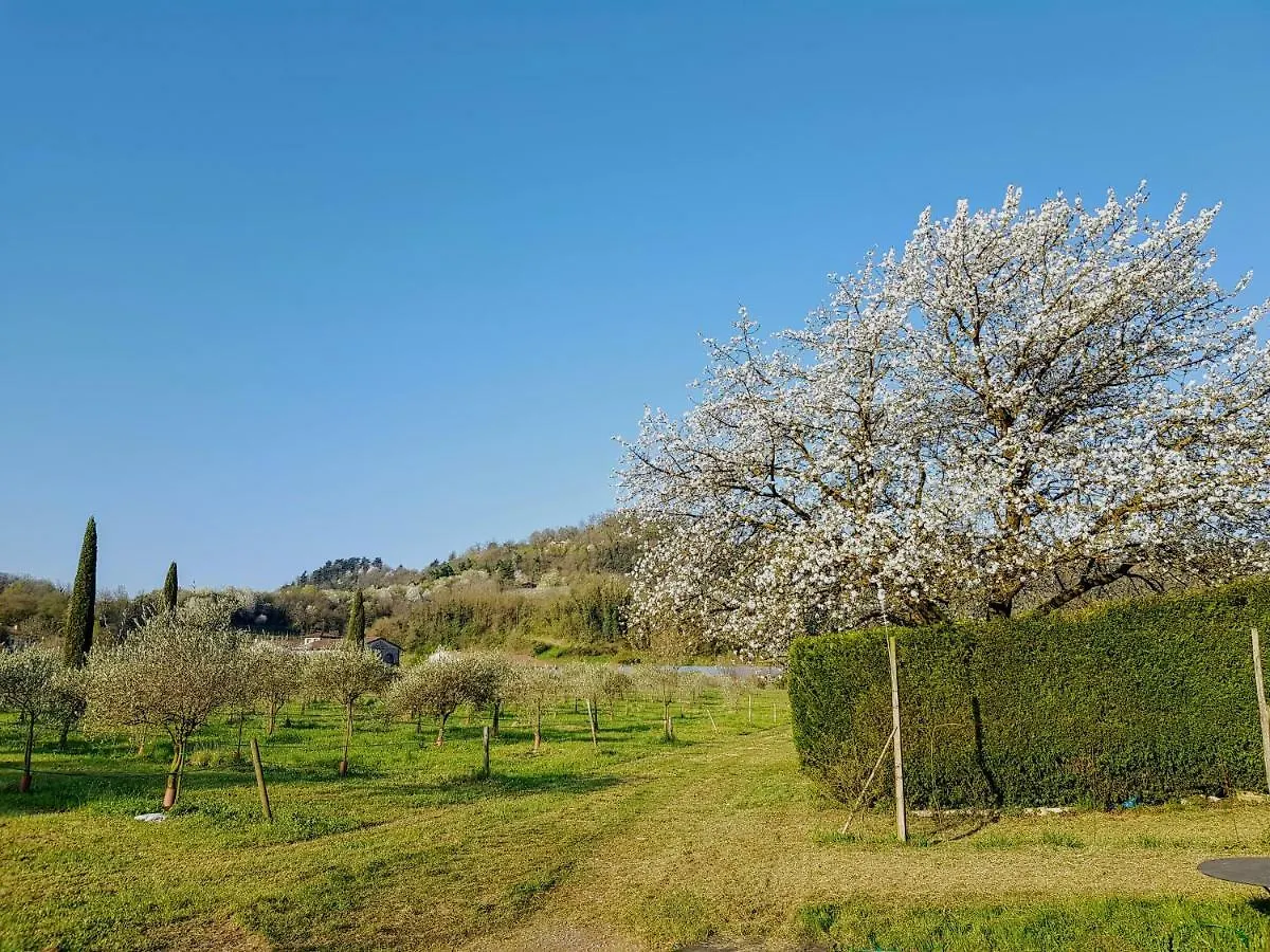 Agriturismo San Michele Vicenza Farma